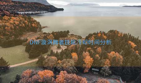 DNF漩涡舞者技能冷却时间分析