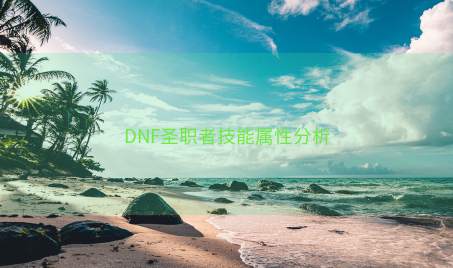 DNF圣职者技能属性分析