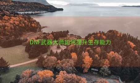 DNF武器大师如何提升生存能力